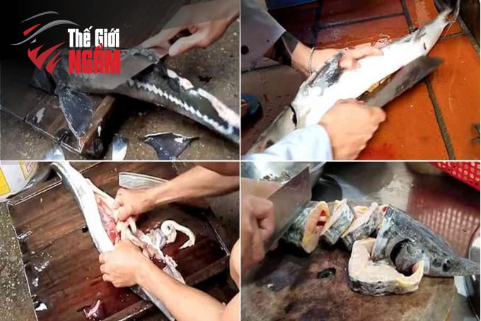 Bí Quyết Nấu Nước Lẩu Cá Tầm Chua Cay 